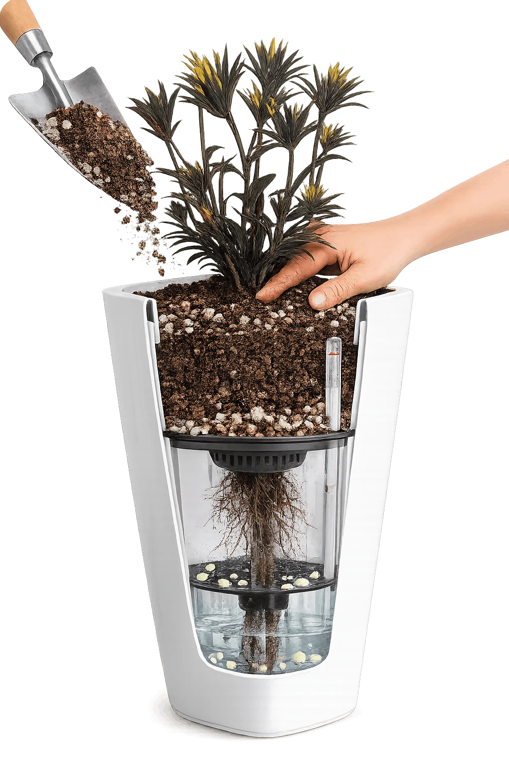 Paso 1: Planta — sistema autorregante Fibrotex